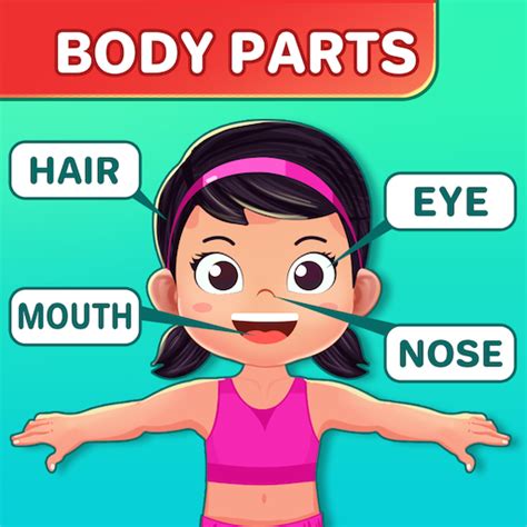 Body Parts Game for Kids - Preschool Learning Game - App on Amazon Appstore