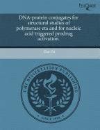 Buy DNA-Protein Conjugates for Structural Studies of Polymerase Eta and ...
