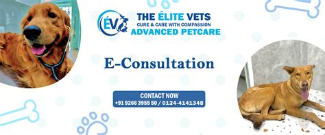 The Élite Vets Advanced Petcare | Cure & Care With Compassion | Expert ...
