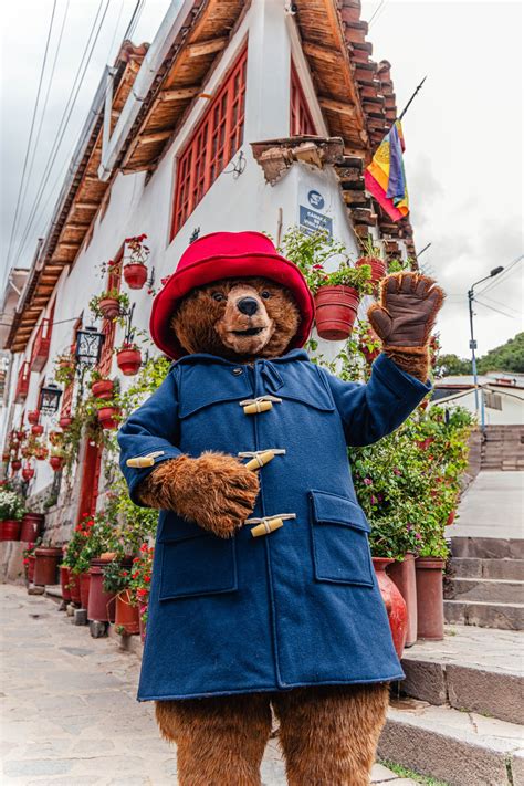 See the Movie “Paddington in Peru” : TRAVEL/FOOD