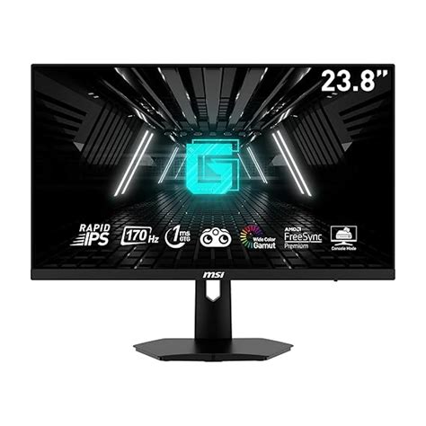 MSI G244F 24 Inch FHD Gaming Monitor - 1920 x 1080 IPS Panel, 170 Hz ...