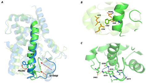 A Combined Molecular Dynamics and Hydropathic INTeraction (HINT ...