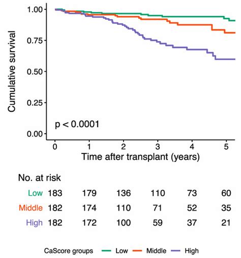 Aorto-Iliac Artery Calcification Prior to Kidney Transplantation