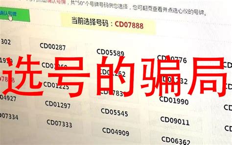 上海市民办签证大排长龙 黄牛喊价4千一个号 - YouTube