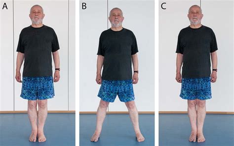 Image result for Forward Step into Balance Exercise