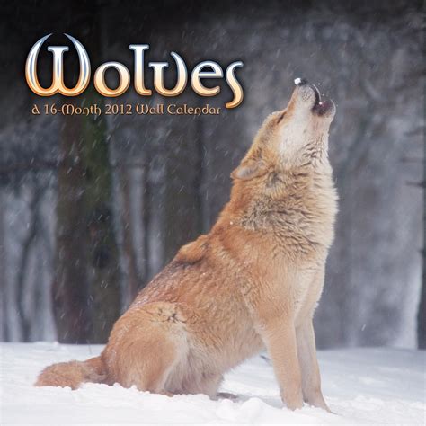 Image result for Wolves 2012