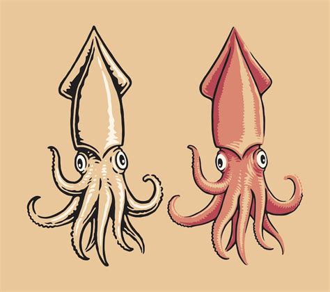 Squid Images - Free Download on Freepik