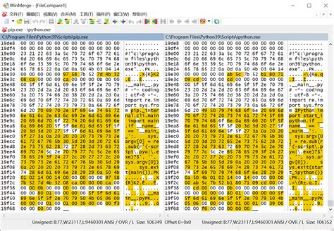 exe Aus Python Script 的图像结果