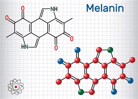 ¿Qué es la melanina?¿Para qué sirve? - Mejor con Salud