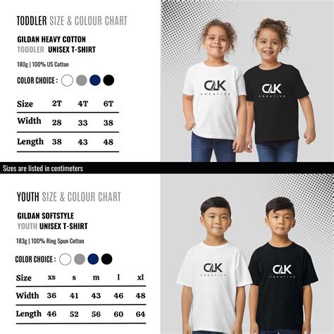 Wicked T-shirt | Elphaba and Glinda Inspired T-shirt | Wicked Movie T ...