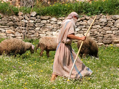 Image result for shepherds