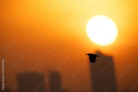 Image result for Rolling Shutter Distortion