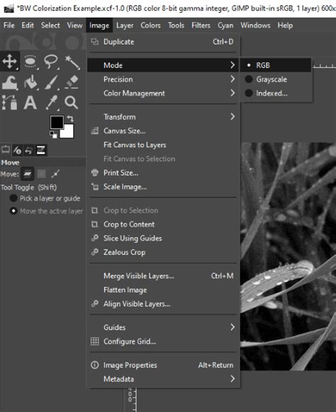 Colorize GIMP 的图像结果