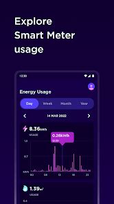 Image result for Octopus Smart Meter