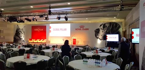 Vinehall Displays: Customer Reviews, Stands and Services