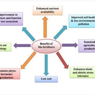 Biofertilizers 的图像结果