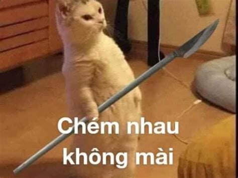 AMBIL SEKARANG