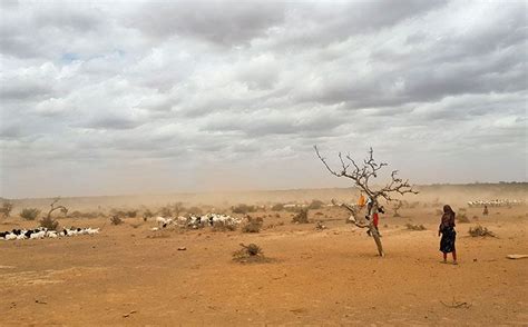 After Floods That Killed Thousands, 235 Districts At The Risk Of Facing ...