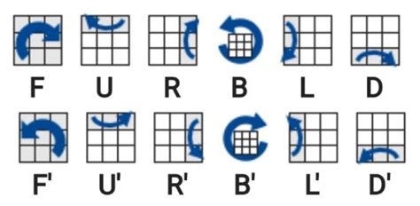 how algorithm works on a rubiks cube - Brainly.in
