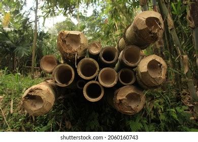 Image result for Fudging Random Objects