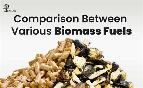 What Are Some Examples Of Biomass Fuels at Arnold Emerson blog