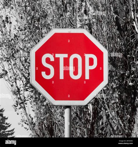 Octagonal shape hi-res stock photography and images - Alamy