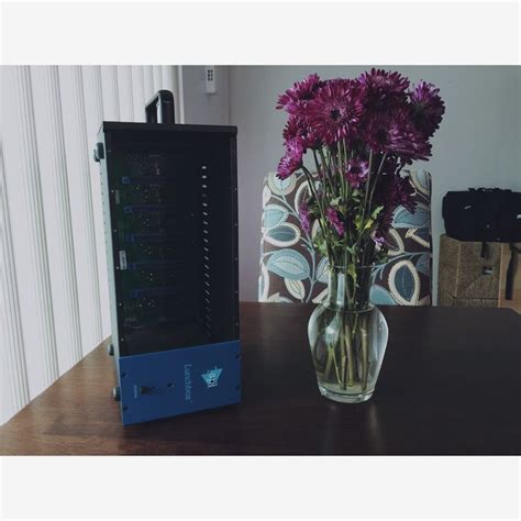 Image result for API Lunch Box