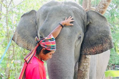 Image result for Elephant Problem Solving