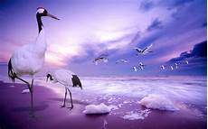 New Hd Wallpepar by New Wallpapers In Hd Wallpaper Cave New Hd Wallpepar