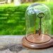 Image result for Glass Cloche Dome