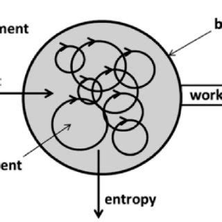 Image result for Complex Adaptive System Model