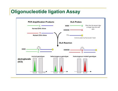 SNP Genotyping Technologies | PDF