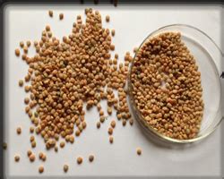 welcome [www.brightagro.in]