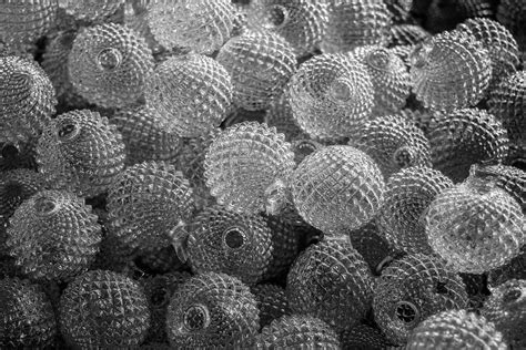 D'source Introduction | Decorative Glass Work - Agra | D'Source Digital ...