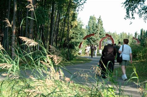 Earthquake Park | Things to Do In Anchorage | ALASKA.ORG