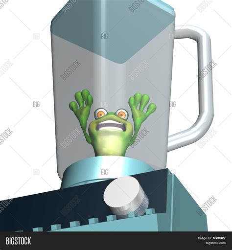 Frog Blender 2 Image & Photo (Free Trial) | Bigstock