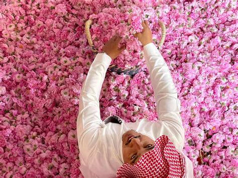Cultural significance - Saudi Arabia's city of roses blooms in Ramadan ...