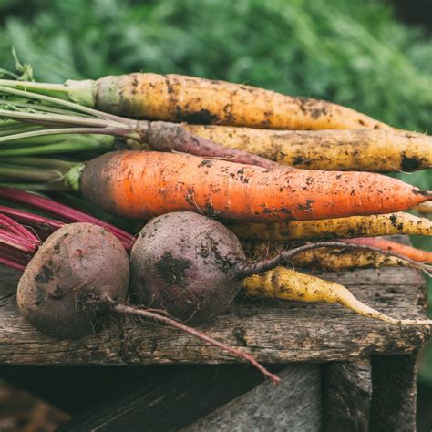 Root Veg - Organity