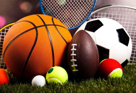 Image result for Sports Program Example