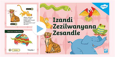 Izilwanyana Zasendle Izandi PowerPoint