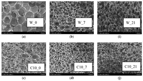 Assessment of Photodegradation and Biodegradation of RPU/PIR Foams ...