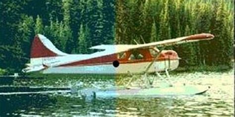 Image result for Vision Experiment