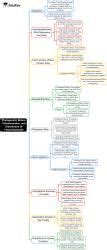 Mind Map: Phylogenetic Status, Characterstics and geographical ...