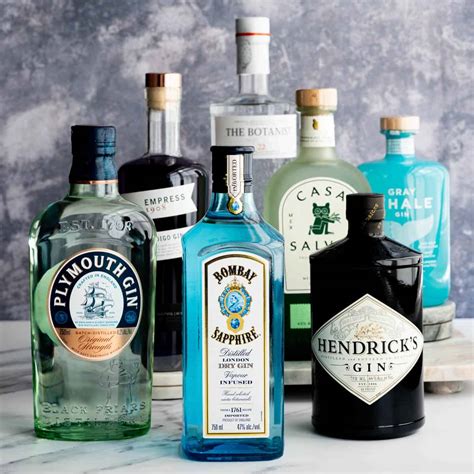 Gin 101: A Complete Guide to the Different Types of Gin - A Recipe For Fun