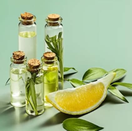 TranswingsAfrica - Import