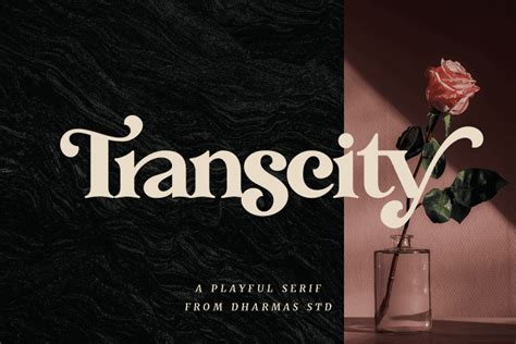 Image result for Fancy Curly Script Fonts