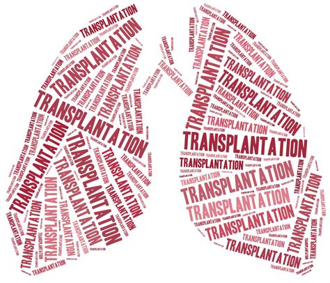 Lung Transplant Cystic Fibrosis