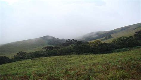 Places To Visit In Coorg In 2026 For An Exhilarating Journey