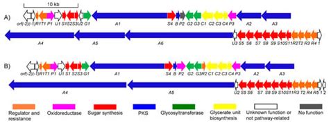 Genome Sequencing of Streptomyces olivaceus SCSIO T05 and Activated ...