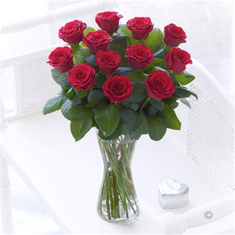 Dozen Red Roses